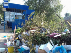 После многочисленных публикаций в СМИ, «мусорным вопросом» Новочеркасска заинтересовалась прокуратура