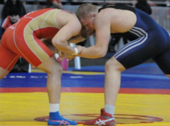 Специализированная школа борьбы откроется на Дону