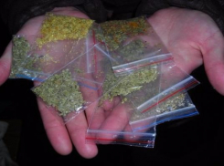 В Новочеркасске задержали драг-диллершу