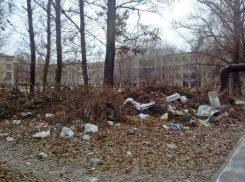 Не вывезенные после урагана в Новочеркасске ветки массово превращаются в стихийные свалки