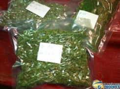 Дома у новочеркасского хулигана обнаружили килограмм марихуаны