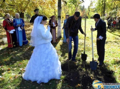 В Новочеркасске молодожены присоединились к высадке деревьев, выйдя из ЗАГСа