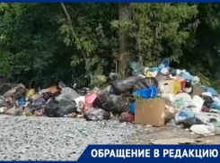 «Вонь на всю округу», - новочеркасцы