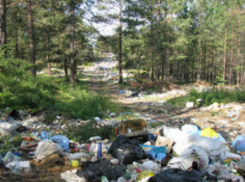 Прокуратура продолжает решать «мусорный вопрос» Новочеркасска