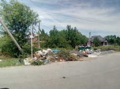 «Мусор мешает жить!», - жители Ключевого микрорайона не знают что делать