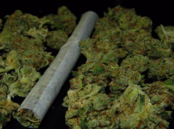 Новочеркасский спортсмен хранил и продавал наркотики крупными партиями