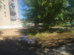 Река канализационных отходов затопила часть улицы в Новочеркасске