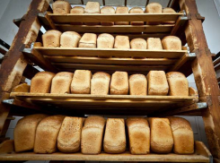Хлеб в России подорожает на 10% 