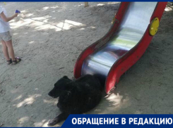 «Устали ждать беды», - новочеркасцы