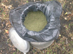 Крупного наркоторговца с 22 килограммами марихуаны схватили в Новочеркасске