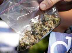 Новочеркасские полицейские изъяли почти полкилограмма марихуаны