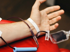 Жителям Новочеркасска предлагают поделиться кровью в автотрейлере