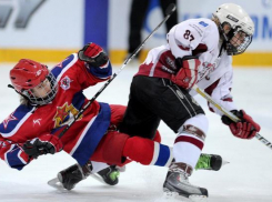 Хоккеисты из Новочеркасска победили на межрегиональном турнире юниоров