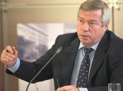 Губернатор остался недовольным решением мусорного вопроса в Новочеркасске