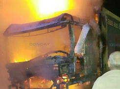 Адское пламя погубило грузовик под Новочеркасском