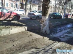 Три погоды Новочеркасска: грязь, грязь засохла, грязь замерзла