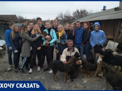«Бездомные животные нуждаются в вашей помощи», - волонтеры Новочеркасска