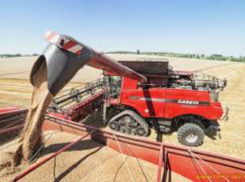 8 миллионов тонн хлеба уже собрано на донских полях