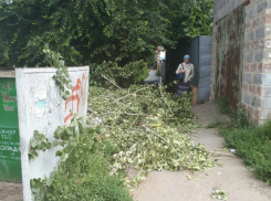 Брошенные спиленные ветки на улице Думенко в Новочеркасске возмутили горожан