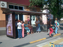 Автобусные остановки в Новочеркасске – больше трех не собираться