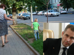 Павел Астахов проверит информацию о нашумевшей прогулке мальчика на поводке в Новочеркасске