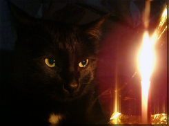 Новочеркасские улицы снова останутся без света