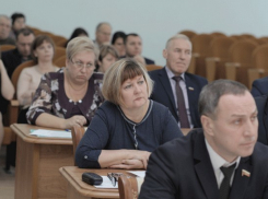 Новочеркасские депутаты внесли поправки в городской бюджет