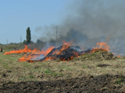Плантацию конопли, площадью 2,5 тысячи квадратных метров сожгли в Новочеркасске