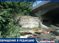 «Мусорные завалы скрывают заросли амброзии», - новочеркасцы