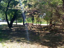 После публикации «Блокнота Новочеркасск», администрация помогла жителям Соцгорода