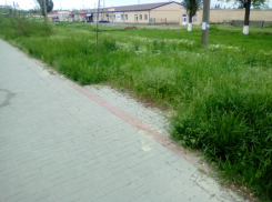 Прогулочная аллея в новочеркасском микрорайоне Октябрьский вновь пострадала от рук вандалов