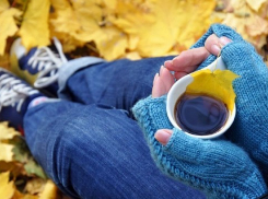 Новочеркасцев ждут теплые и солнечные выходные