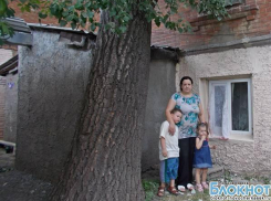 В Новочеркасске вековой тополь корнями поднимает фундамент жилого дома