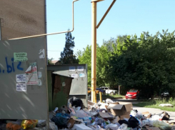 «Контейнерная площадка на Крылова относится к ЮРГПУ», - администрация Новочеркасска