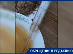 «Горячее питание в школе подается холодным», - новочеркасцы