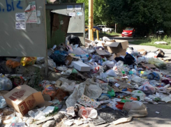 В Новочеркасске, чтобы проехать по улице Крылова, автомобилям приходится заезжать на мусорные горы