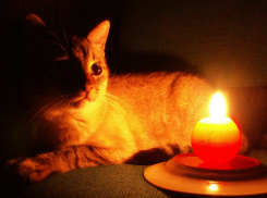 Новая рабочая неделя начнется с отключения электроэнергии для многих жителей Новочеркасска