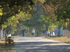 В Новочеркасске потеплеет на выходных 