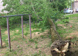 Аварийное дерево упало на лавочку на улице Комитетской Новочеркасска