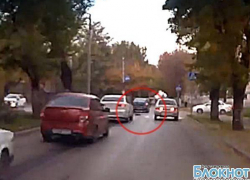 В Новочеркасске вежливые водители пропускают кошек на пешеходных переходах (ВИДЕО)