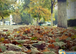 В Новочеркасске похолодает до 9 градусов