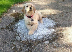 Предстоящая неделя даст Новочеркасску отдохнуть от жары