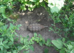 Всплывшая из-под земли боевая граната перепугала сотрудников НИИ на винограднике Новочеркасска