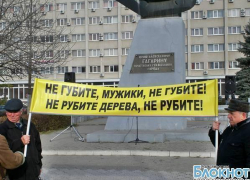 В Новочеркасске прошел митинг против вырубки части рощи под строительство детских садов