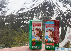 «Кубанская буренка» побывала на родине кефира
