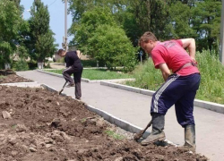 В Новочеркасске старшекласников не хотят брать на работу