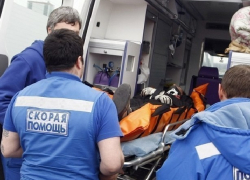 Два человека пострадали в ДТП из-за шмеля под Новочеркасском