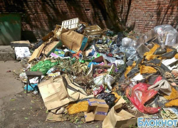 Типичный Новочеркасск: мусор лежит – счета растут