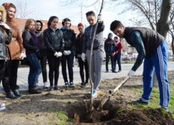 В Новочеркасске прошел день весеннего древонасаждения