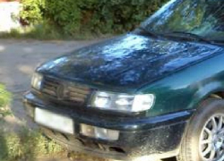 Овчарка вытащила хозяина под ехавший автомобиль в Новочеркасске